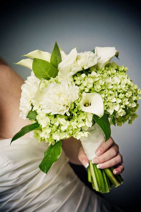 See how to change the color of hydrangea flowers for more information. Chocolate Brown and Green Indianapolis Garden Wedding ...
