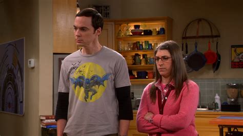 The Big Bang Theory S07 E16 The Table Polarization 1080p 10bit Blu Ray