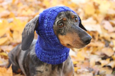 Knitting Pattern Mini Dachshund Dog Hat Small Dog Hat Dog Etsy Uk