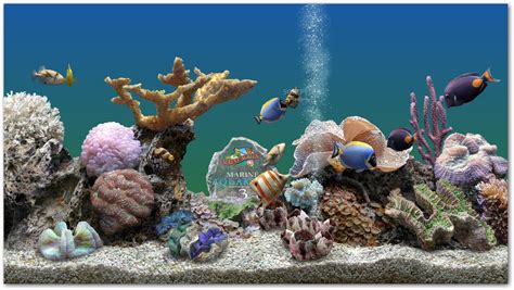 Free Download Marine Aquarium Screensaver For Pc Stickyholoser