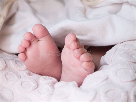177 African American Baby Feet Stock Photos Free And Royalty Free Stock