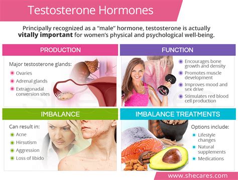 Natural Testosterone Hormones Shecares