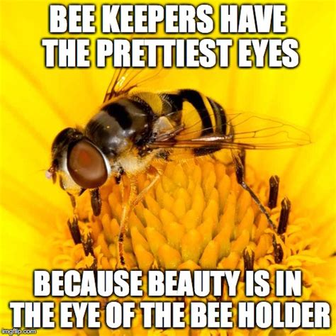 Image Tagged In Beesdad Jokes Imgflip