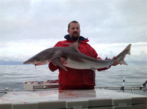 Best Fishing Charters Portland Victoria Sharkmen Fishing Charters
