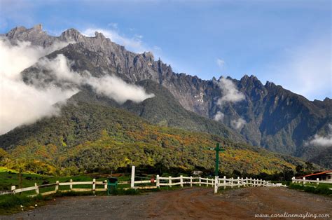 Desa cattle dairy farm is a dairy farm located at the foot of mount kinabalu in kundasang valley, sabah, malaysia owned by the desa cattle (sabah) sdn bhd where most of sabah's cow milk and dairy product been produced. My Stories: Desa Cattle Dairy Farm | Mesilau Highland ...