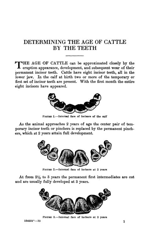 Determining The Age Of Cattle By The Teeth Page 1 Unt Digital Library