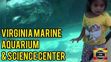 Virginia Aquarium And Marine Science Center Best Attraction At Virginia