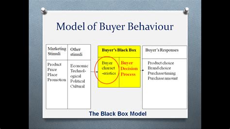 Where It All Begins Consumer Buyer Behaviour Black Box Model