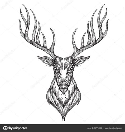 Update More Than 84 Deer Sketch Outline Ineteachers
