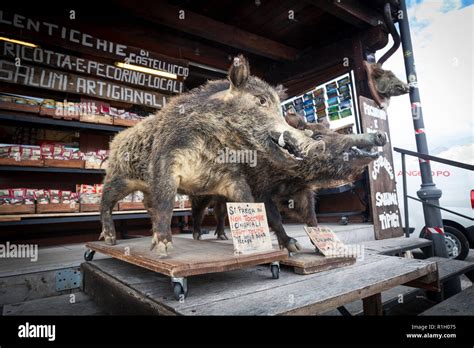 Stuffed Wild Boars Used To Advertise Wild Boar Meat On A Shop Stall In