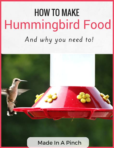 Try Making Homemade Hummingbird Food Made In A Pinch