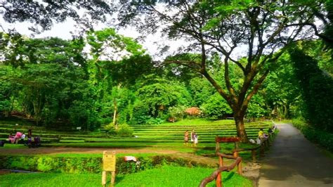 Wow La Mesa Eco Park Quezon City Youtube
