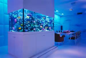  Ideas How To Beautify Your Home With Fish Tank World inside pictures