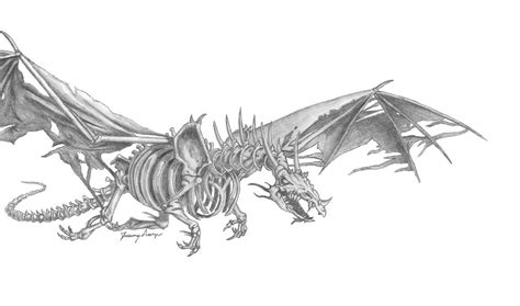 Skeletal Dragon Pencil By Darksoul Whitedragon On Deviantart