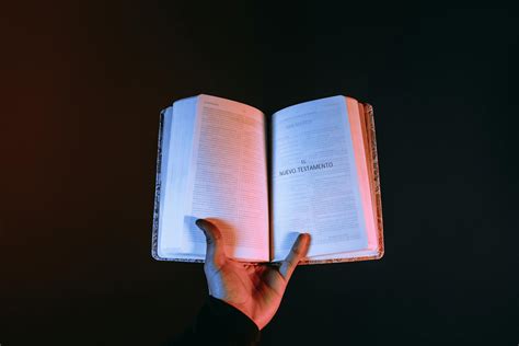 Person Holding A Bible · Free Stock Photo
