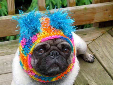 Dog Hat Clown Happy Made To Order Etsy Hunde Pullover Hunde