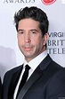 David Schwimmer - David Schwimmer Biography - Facts, Childhood, Family ...