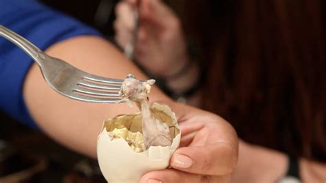 Introducing Balut Eggs The Worlds Weirdest Duck Dish