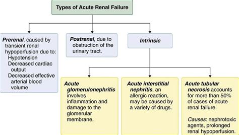 There are a number of common causes of acute renal failure. Image - Acute-kidney-injury-fig1 large.jpg | ResScientiae ...