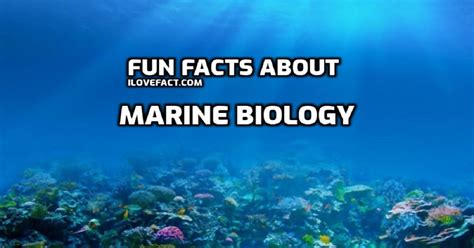 fun facts about marine biology that will blow your mind i love facts