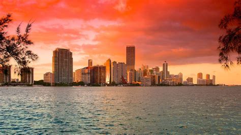 Miami Nasıl Bir Yerdir ⋆ Bilgiustam