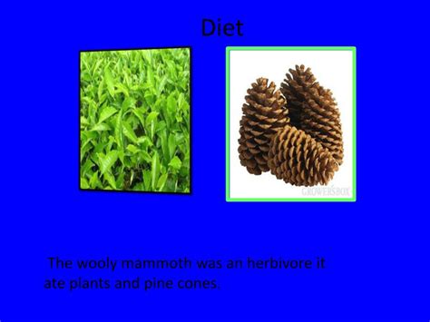 Ppt Woolly Mammoth Powerpoint Presentation Free Download Id2303024