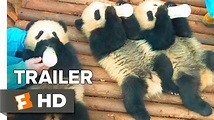 Pandas Trailer #1 (2018) | Movieclips Indie - YouTube