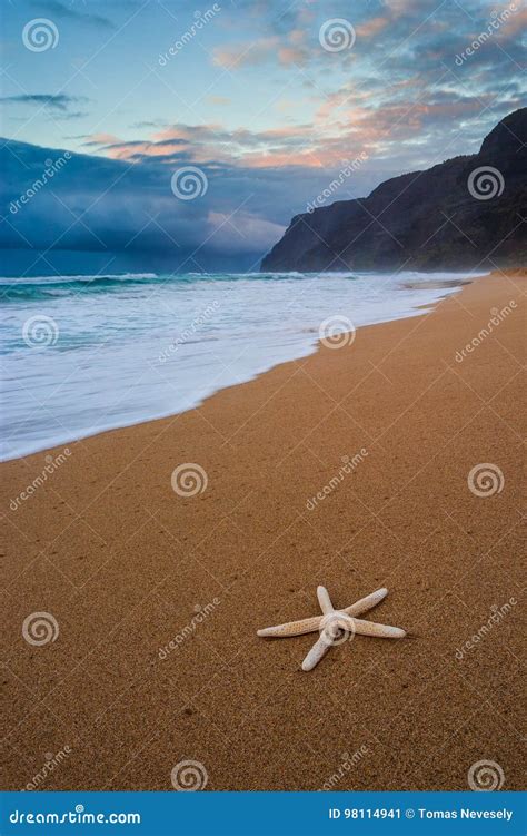 Starfish On Polihale Beach At Sunset Kauai Stock Image Image Of