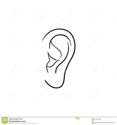Human Ear Hand Drawn Outline Doodle Icon Stock Vector Illustration