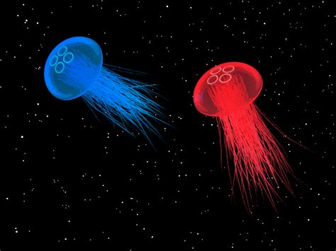 And the point of that, in turn, was to test how the jellyfish would respond when they were back on. Desktop Wallpaper Jellyfish, Space, Digital Art, Hd Image ...