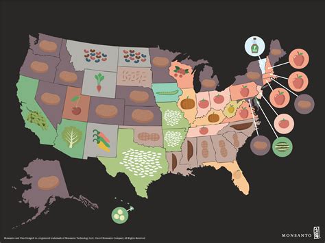 Crop Map Who Grows What In The Us With Images Agriculture Facts