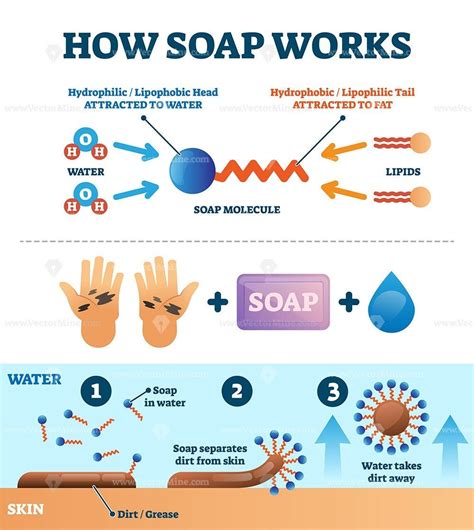 Hand Washing With Soap Vector Illustration Educational Explanation