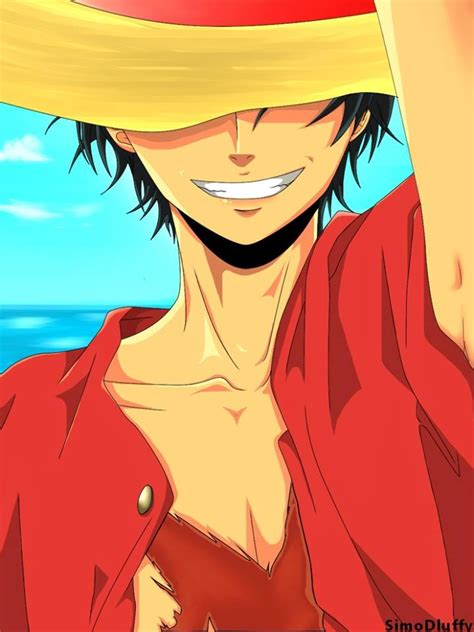 One Piece Monkey D Luffy Luffy He Will Be The King Of Pirates