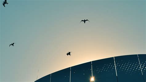 Sun Sky Birds Wallpapers Hd Desktop And Mobile Backgrounds