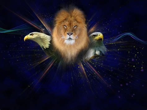 Pin By Olivebranch Pietersma On Eagles Lion Pictures Lion Art