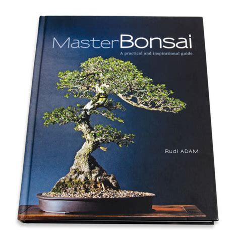 Master Bonsai By Rudi Adam Bonsai Tree Pty Ltd