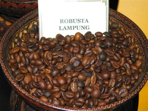 mengenal lebih  karakteristik kopi robusta