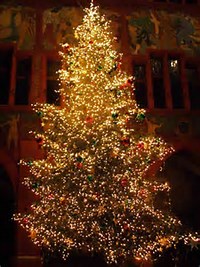 Image result for xmas trees