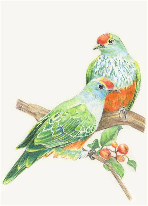 We did not find results for: Diane Wright Art Journal: Colored Pencil - Birds