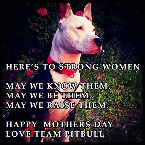 Happy Mommys Day All You Mommys Pitbullprintingcares
