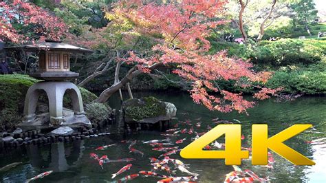 4k Nature Wallpaper Spring Japan 45 Images