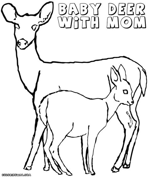 Here is a collection of deer coloring sheets of different the free deer coloring pages to print depict the deer in various settings, natural as well as captive. Baby deer coloring pages | Coloring pages to download and ...