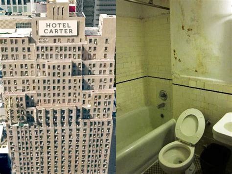 Hotel Carter New York City Americas Dirtiest Hotels Tripadvisor
