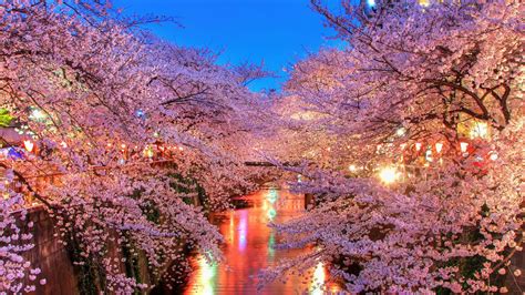 10189 views | 20528 downloads. Full HD Wallpaper hanami river sakura japan, Desktop ...