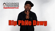 Phife Dawg Of A Tribe Called Quest Dies At Age 45 - YouTube