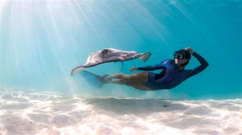 Freediving A Journey Between Two Breaths With Julia Wheeler Vue Magazine