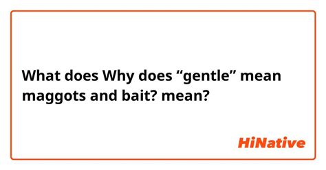 What Is The Meaning Of Why Does Gentle Mean Maggots And Bait