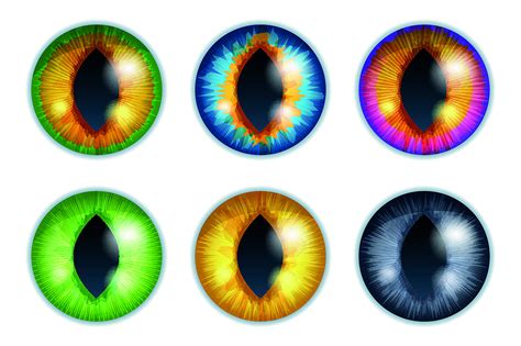 Farbige Kontaktlinsen Wissen Optik Schweiz Dynoptic