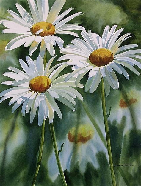 Daisy Trio Painting By Sharon Freeman