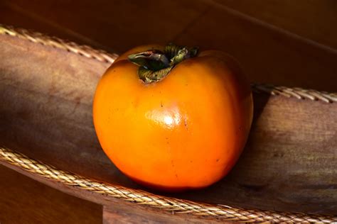 Japanese Persimmon Diospyros Kaki In Long Island Westbury Nassau